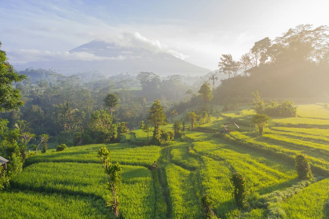 Bali Landscape